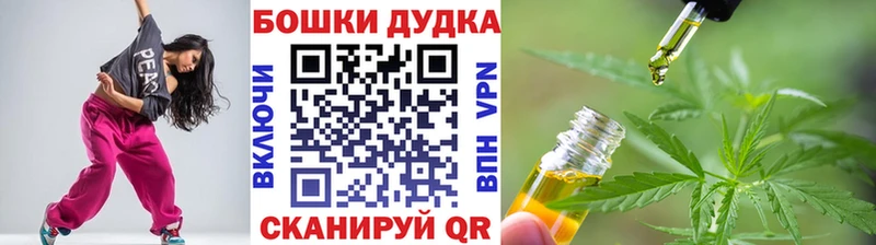 купить наркотики сайты Приозерск Конопля ГИДРОПОН